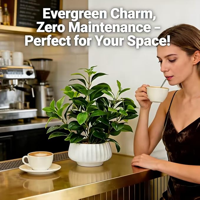 Artificial Peperomia Plants 16” Tall Lifelike Faux Greenery in 6” White Ribbed - Image 5