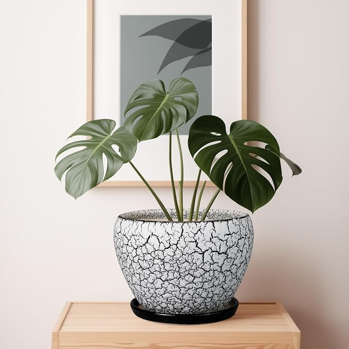 Ceramicfor Ceramic Planters for Indoor Plants - Image 4
