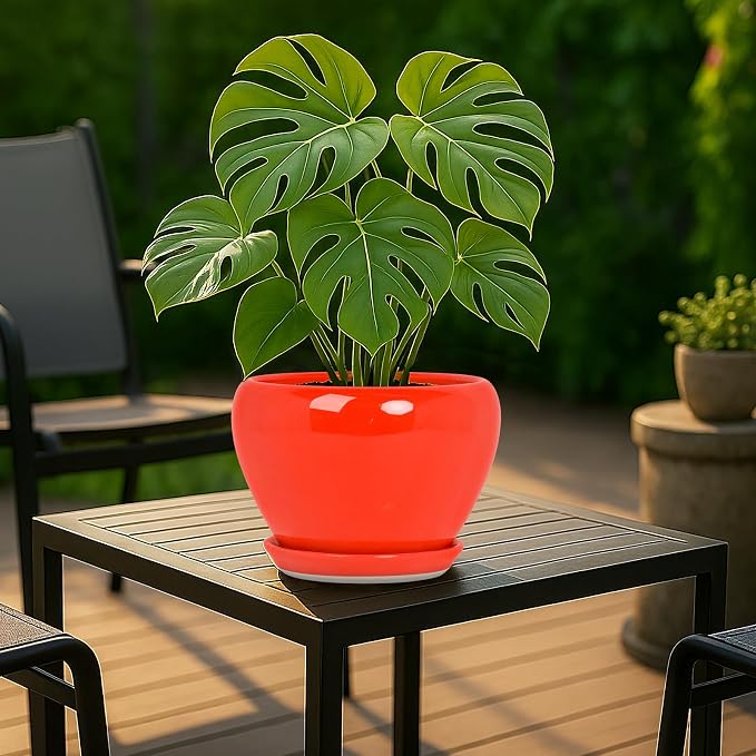 Deep Dream 8 Inch Plant Pots- Ceramic Pots - Image 3