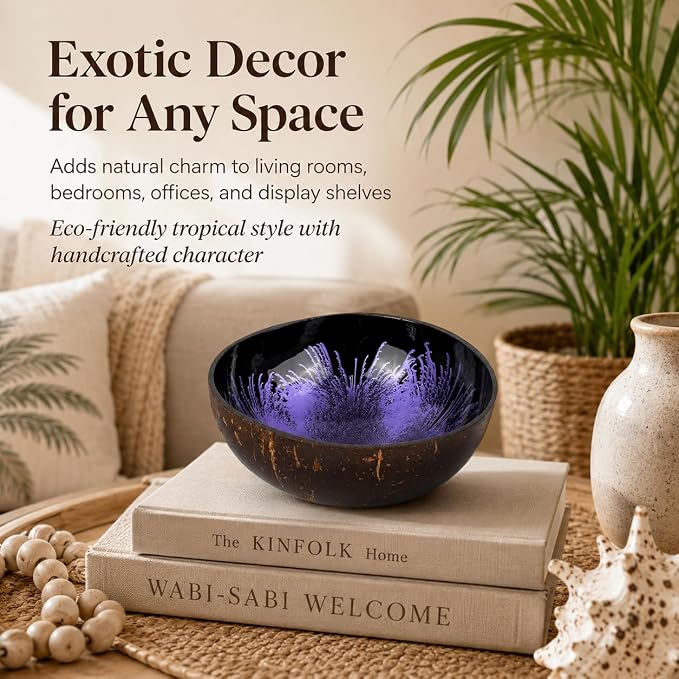 Natural Coconut Bowl Key Decorative - Image 6