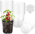 30 Pack Clear Nursery Plant Pots, 5 Inch by WandaQueen