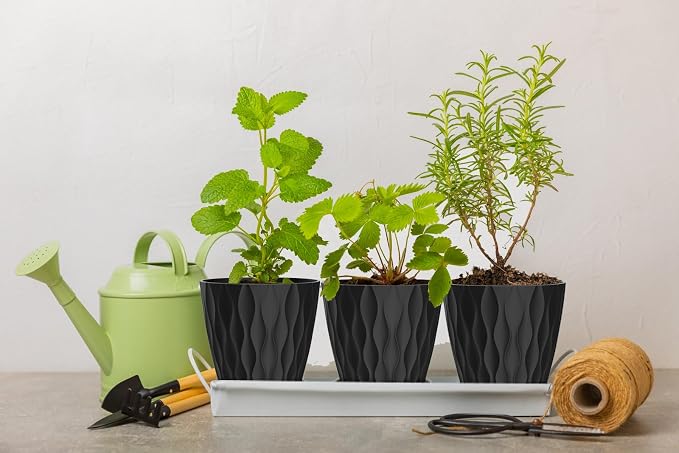 4 Inch Plant Pots, 6 Pack Indoor Flower Pots, Planters - Image 5
