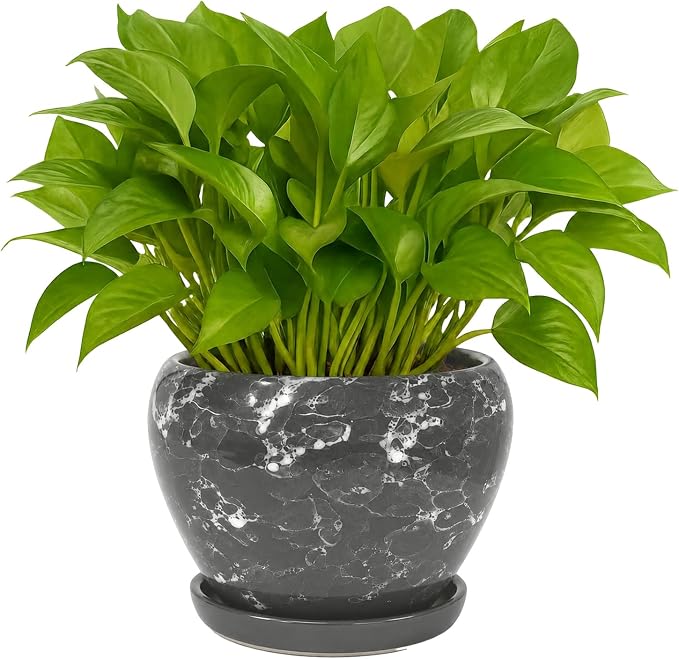 Deep Dream 6 Inch Plant Pots- Ceramic Planter Pot by DeepDream