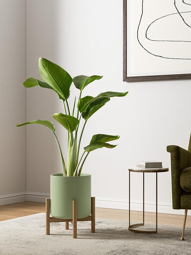 LE TAUCI 10+8+6 Inch Ceramic Pots - Image 3