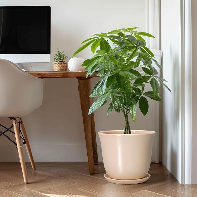 Ceramic Plant Pots, 12 Inch Plant Pot - Image 3