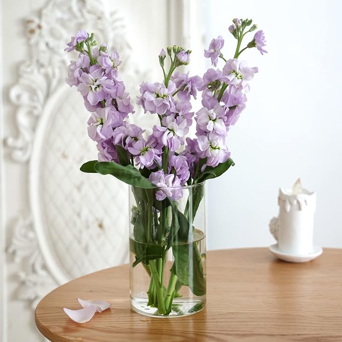 CUCUMI 12pcs Glass Cylinder Vases - Image 4