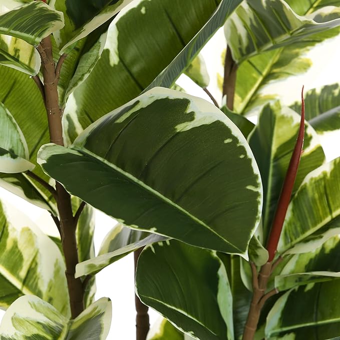 FLOWORLD Artificial Rubber Tree Plant 6ft Tall Faux Ficus Tree Potted Fake - Image 3