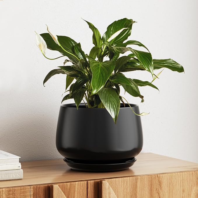 LE TAUCI Ceramic Planter, 10 Inch Plant Pot by LETAUCI