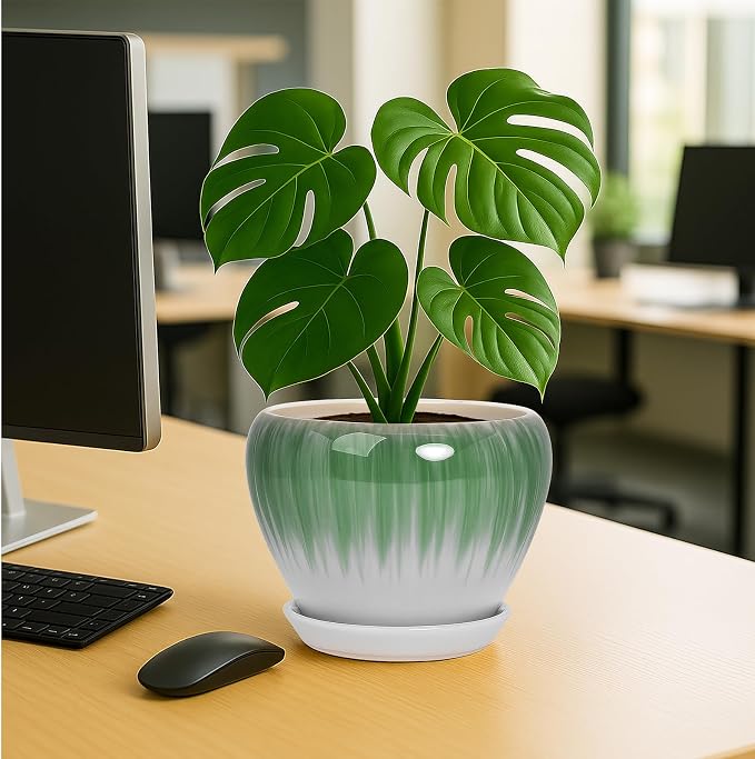 Deep Dream 8 Inch Plant Pots- Ceramic Pots - Image 4