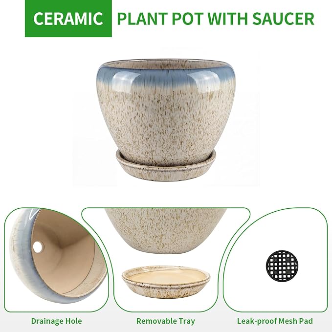 Deep Dream 6 Inch Plant Pots- Ceramic Planter Pot - Image 7