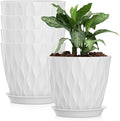 8 Inch Plastic Plant Pots, Planters by SQKH