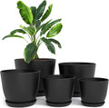 Plant Pots Indoor with Drainage, 5 Pack Multi-Size Planters Set by UTOPIAHOME
