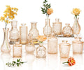 Clear Amber Gold Glass Bud Vase Set of 14 Pcs, Small Bud Vases in Bulk by JXINDUJU
