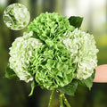 4Pcs Real Touch Green Hydrangea Artificial Flowers, Fake Hydrangea Flowers by Waipfaru