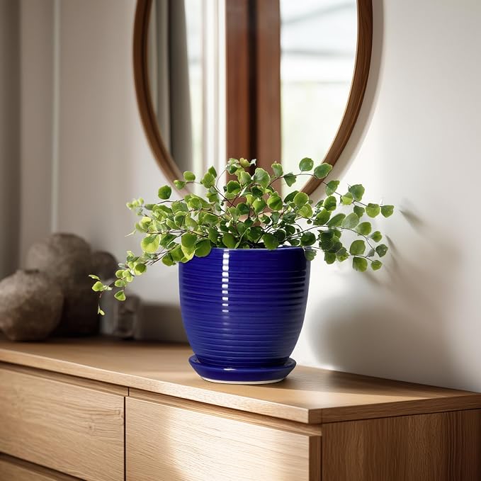 Ceramic Plant Pot - Image 3