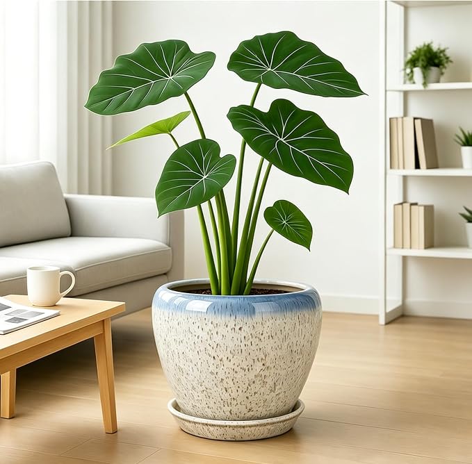 Deep Dream 10 Inch Plant Pot- Ceramic Planter Pot Round Plant Pots - Image 2