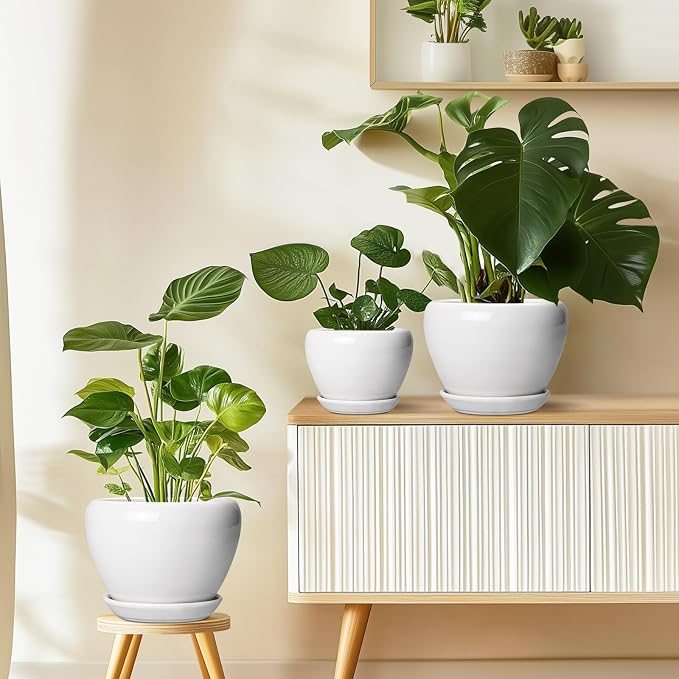 Ceramicfor Ceramic Pot for Plants - Image 8