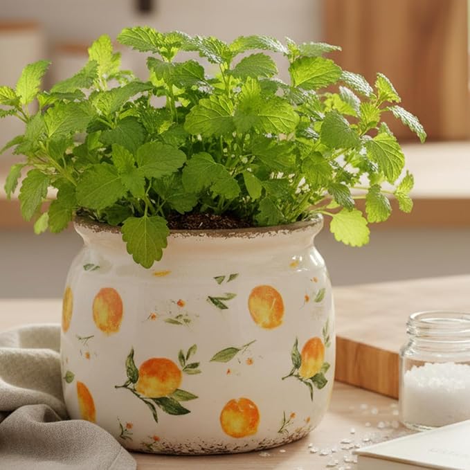 Lemon Ceramic Planter, Italian Mediterranean Flower Pot - Image 2