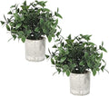 Velener 2 Pcs Small Fake Plants Eucalyptus, Artificial Plants Indoor by Velener