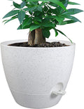 UOUZ 12 inch Large Self Watering Pots, Plastic Planters by UOUZ