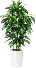Artificial Dracaena Tree Indoor, 6FT Tall Fake Tree by PUUKU