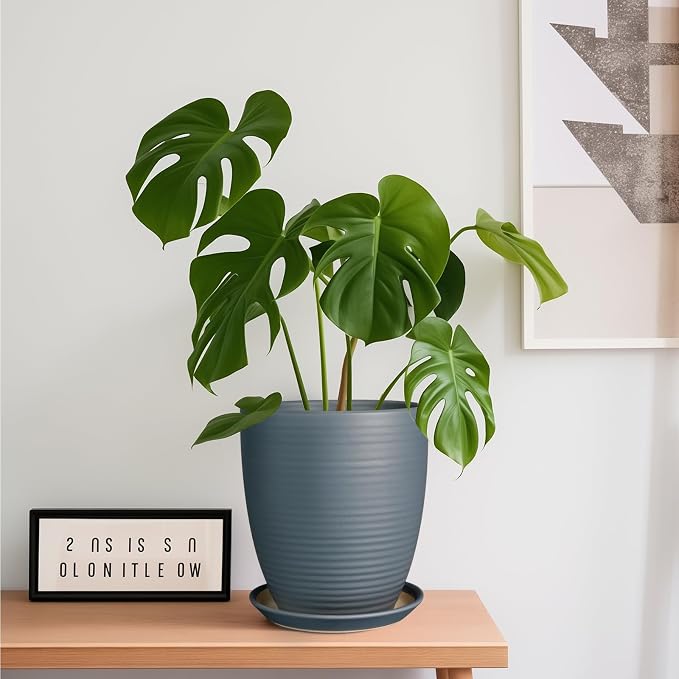 8 Inch Ceramic Plant Pot Large Planter Pot - Image 2