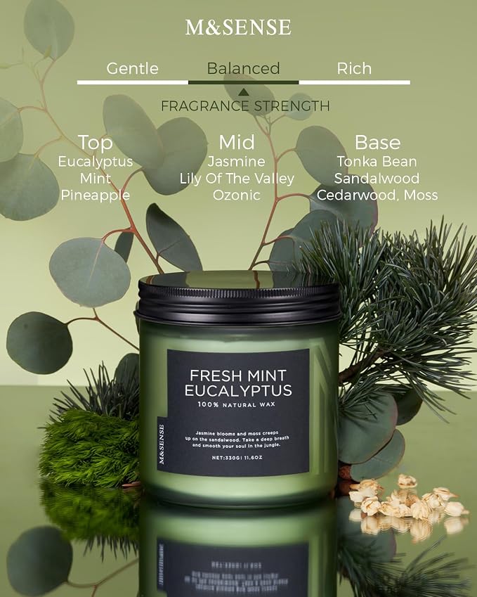 M&SENSE Eucalyptus & Mint Home Scented Candles, 11.6oz Organic Soy Wax - Image 2