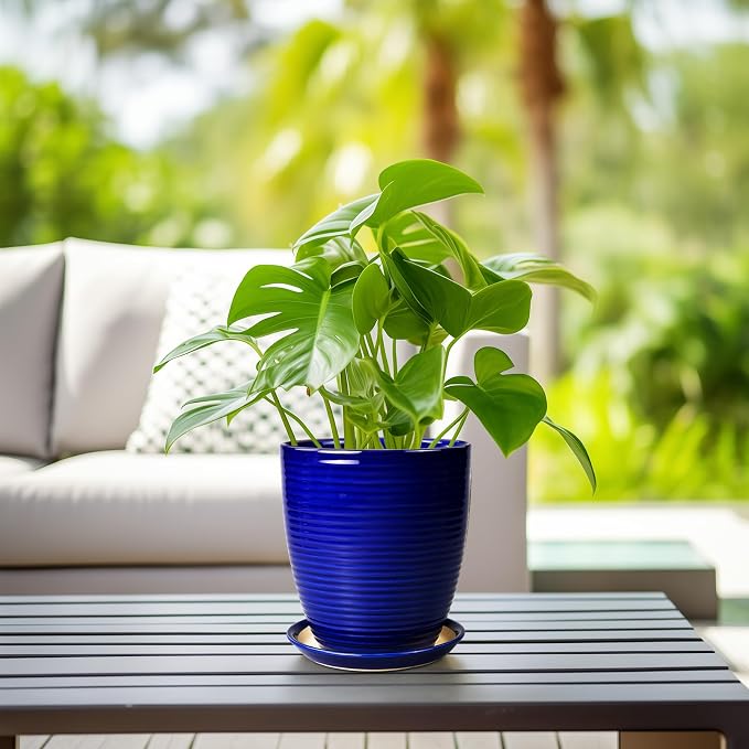Round Ceramic Planter - Image 6