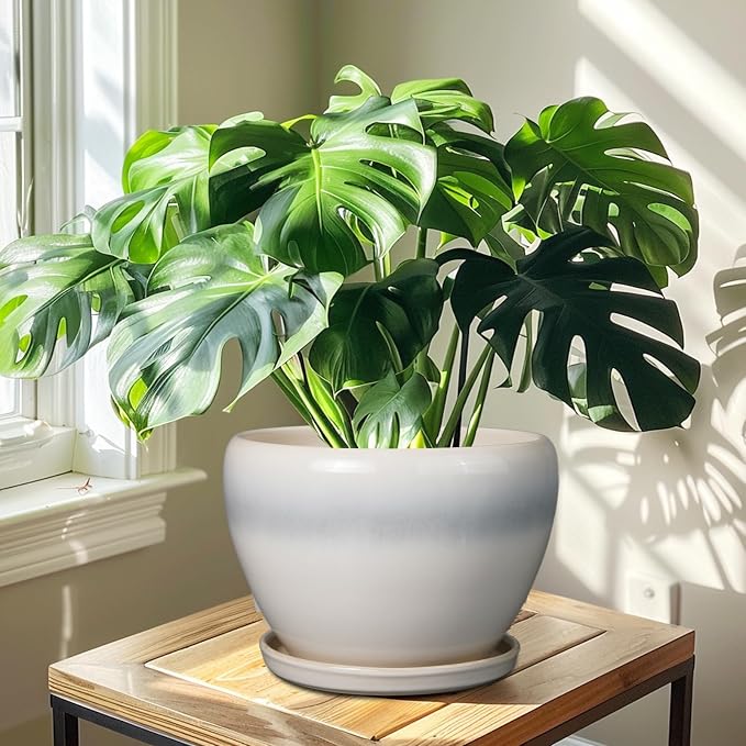 Ceramicfor 10 Inch Ceramic Planter Pot, Cream White | Large Plant Pot - Image 7