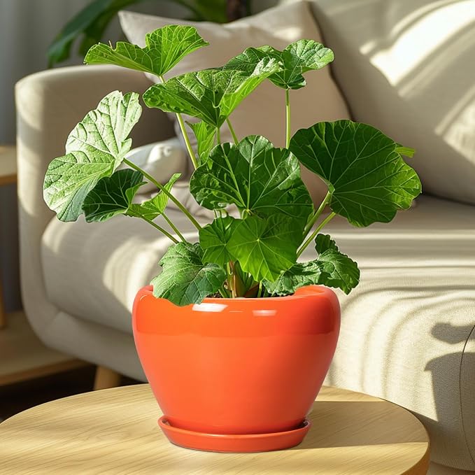 Ceramicfor Indoor Plant Pot 8 Inch - Image 7