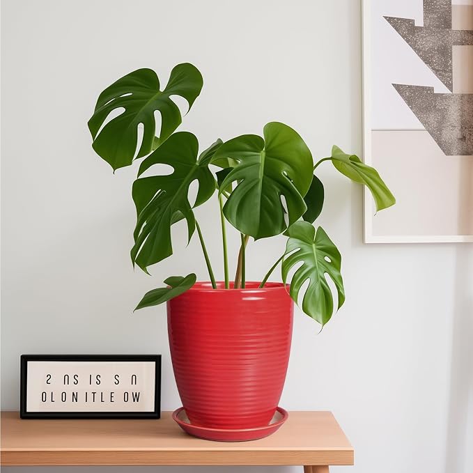 Ceramic Pot for Plants - Image 2