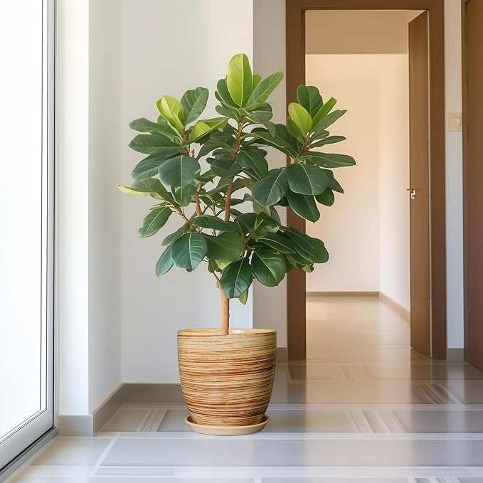 12 Inch Planter Pot Ceramic Plant Pots - Image 5