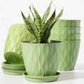 6 Pack Plant Pots with Drainage Holes, 4 Inch Plastic Indoor Flower Pots by Unknown