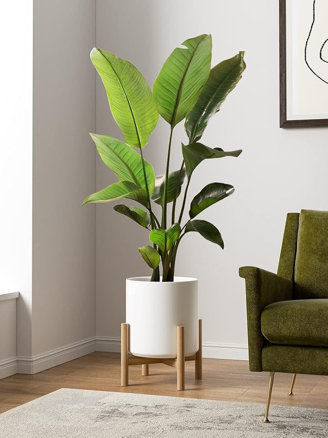 LE TAUCI 12 Inch Pot for Plants, Ceramic Planters for Indoor Plants, - Image 2