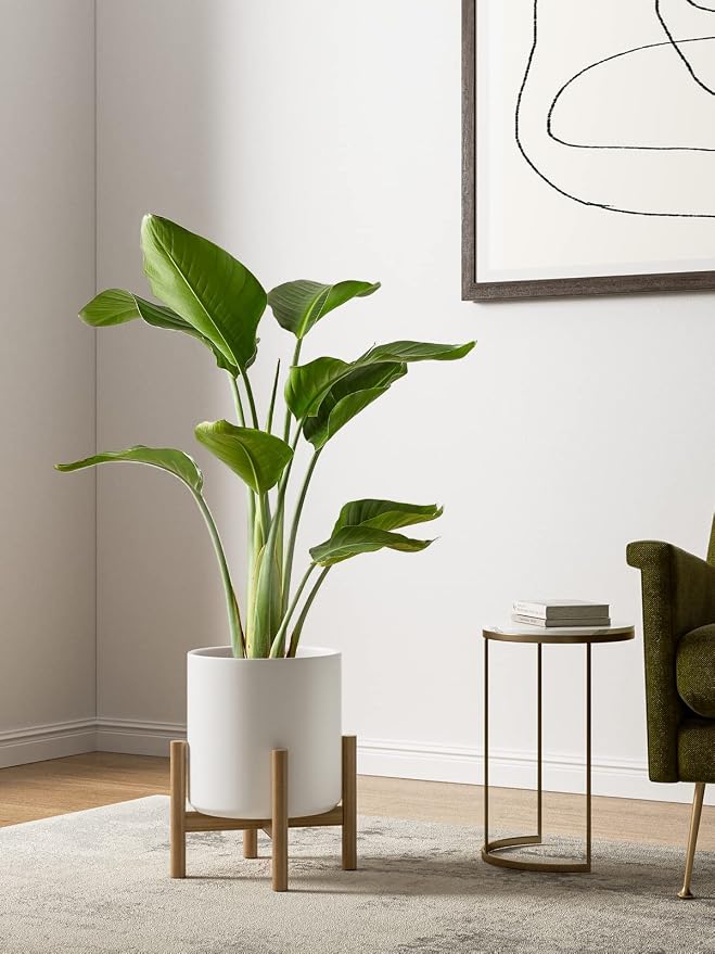 LE TAUCI 10+8+6 Inch Ceramic Pots - Image 4