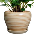 Ceramicfor 6 Inch Plant Pot Ceramic by Ceramicfor