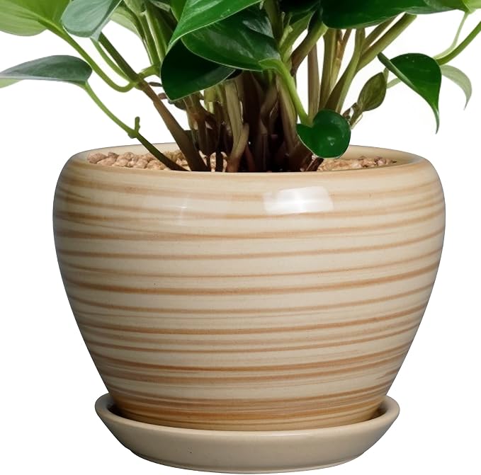 Ceramicfor 6 Inch Plant Pot Ceramic by Ceramicfor