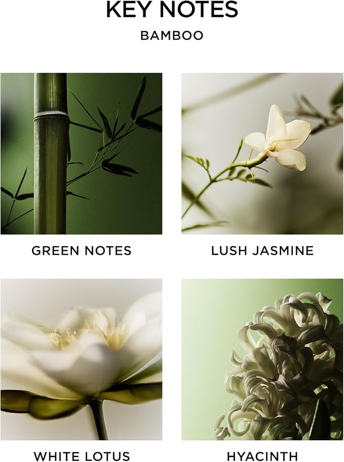 NEST New York Scented Classic Candle, Bamboo - Image 4