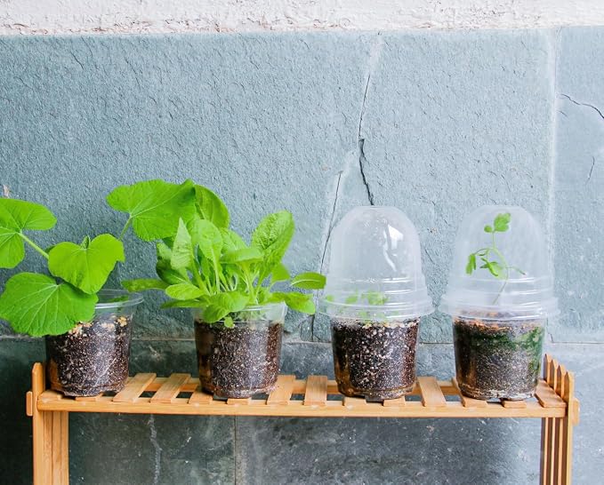 Bluepro Clear Nursery Pots - Image 9