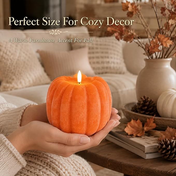 Fall Decorations for Home - Image 7