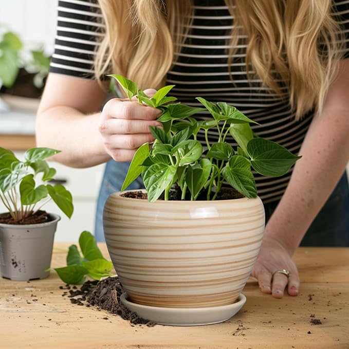 Ceramicfor 6 Inch Plant Pot Ceramic - Image 4