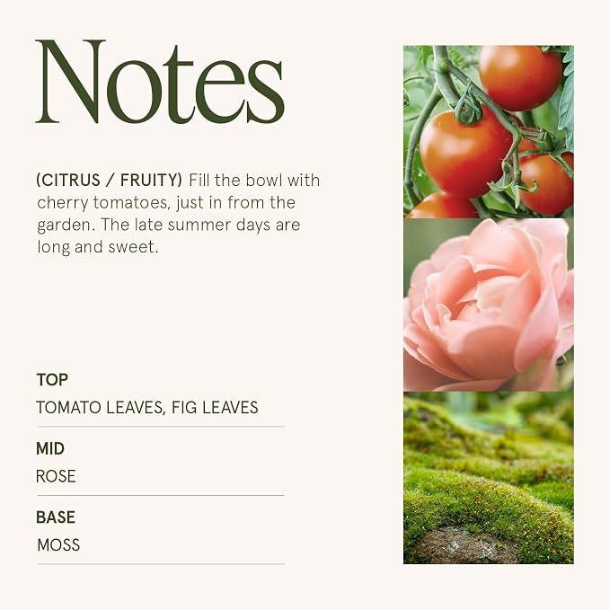 LA JOLIE MUSE Tomato & Vine Scented Candles - Image 4