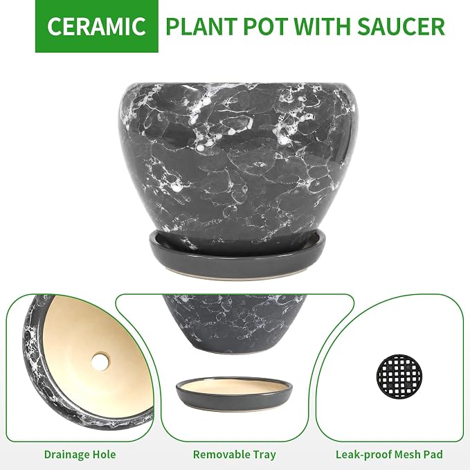 Deep Dream 6 Inch Plant Pots- Ceramic Planter Pot - Image 6