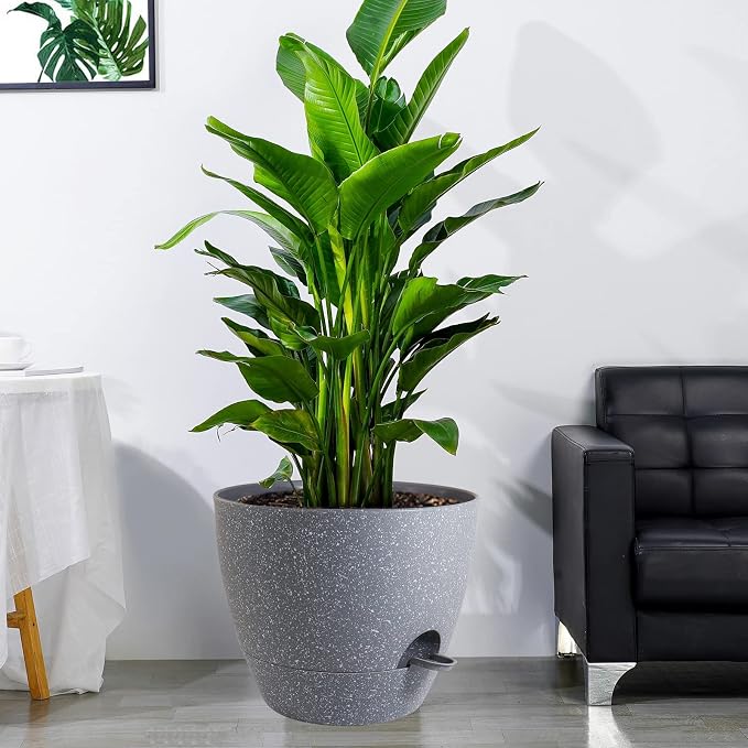UOUZ 12 inch Large Self Watering Pots, Plastic Planters - Image 6