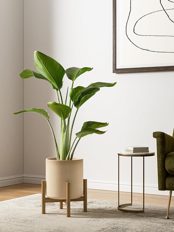 LE TAUCI 10+8+6 Inch Ceramic Pots - Image 2