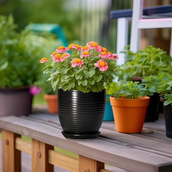 6 Inch Plant Pot - Image 4