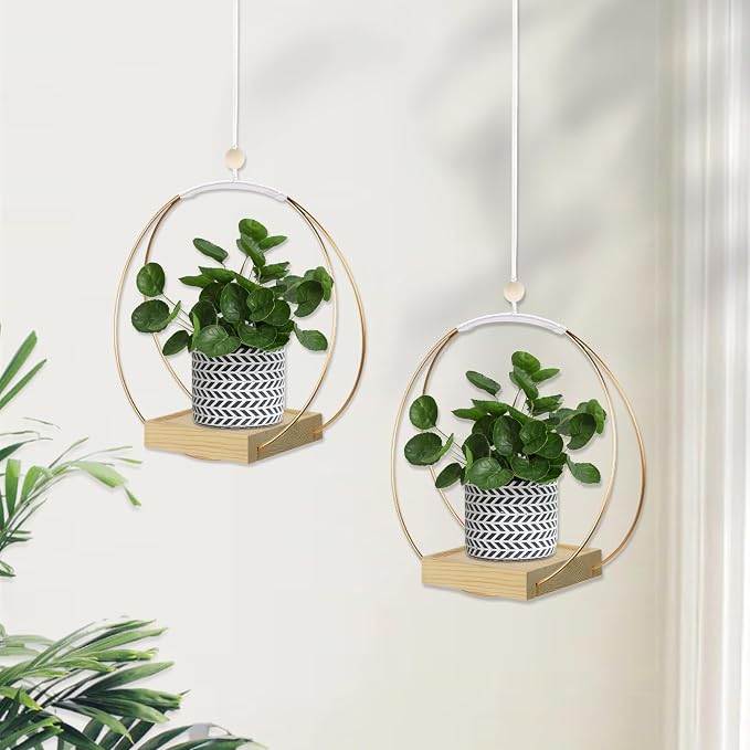 hismocal Hanging Planter for Indoor Plants, Plant Hanger - Image 2