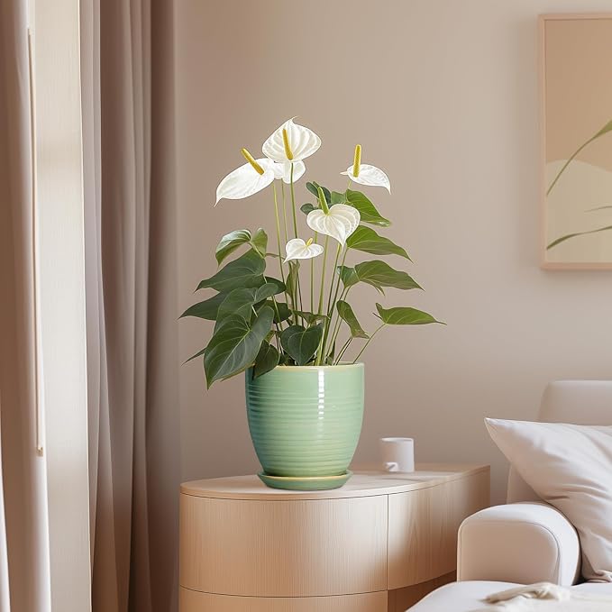 Ceramic Plant Pots - Image 8