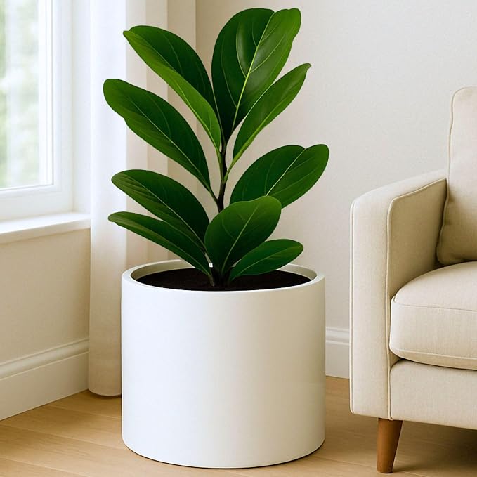 Fox & Fern Large Planter for Indoor or Outdoor, Matte White, 14.6 Inch | UV & - Image 2