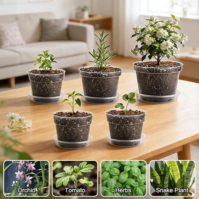 RooTrimmer 15 Pack 8/7/6 Inch Clear Nursery Pots - Image 7